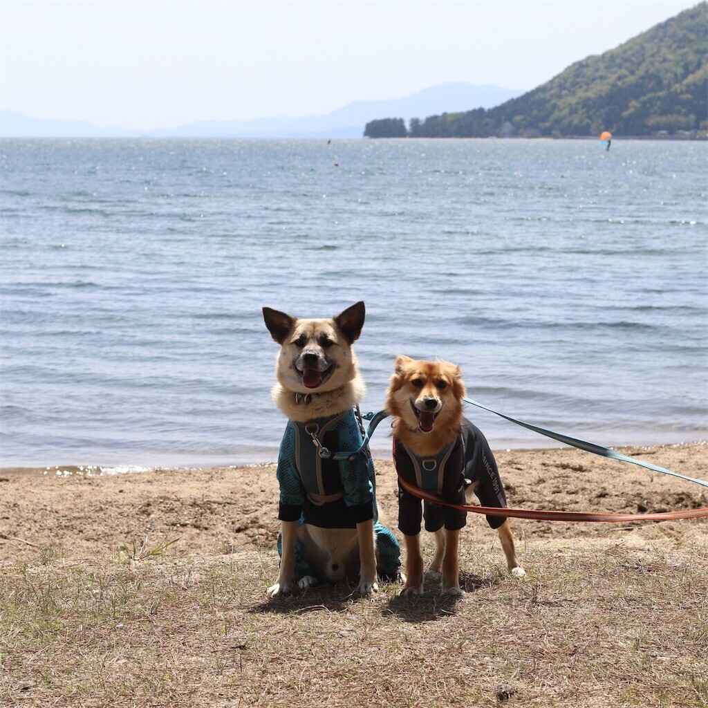 f:id:mamo76:20240109204625j:image