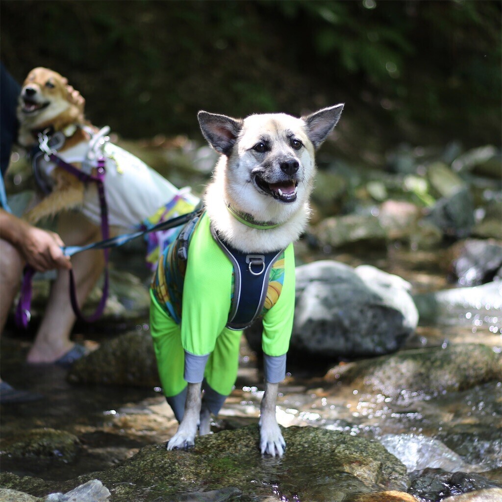 f:id:mamo76:20240109204628j:image