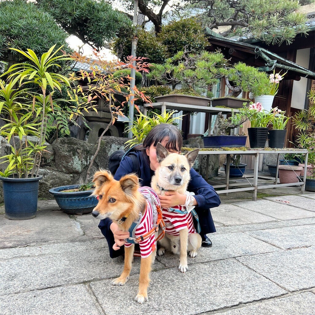 f:id:mamo76:20240109204632j:image