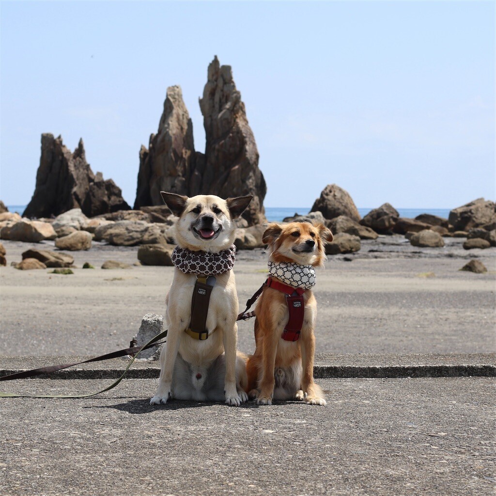 f:id:mamo76:20240109204643j:image