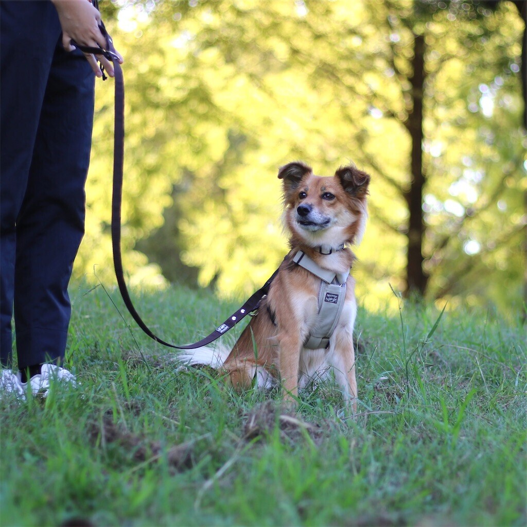 f:id:mamo76:20240109204700j:image