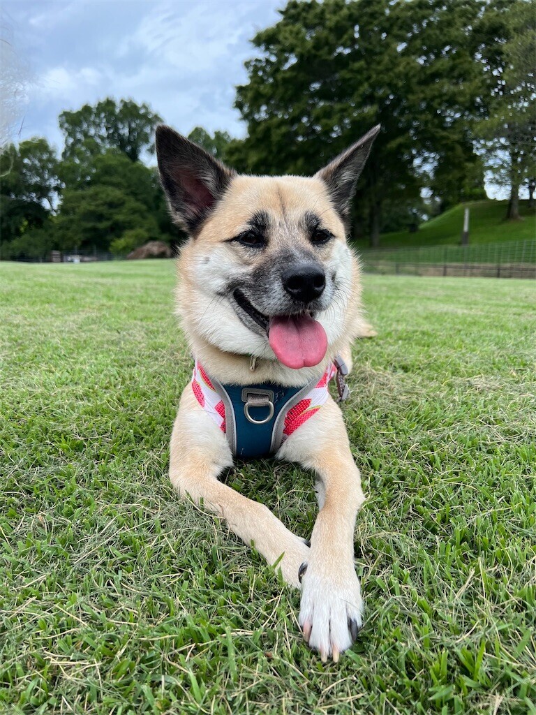 f:id:mamo76:20240109204707j:image