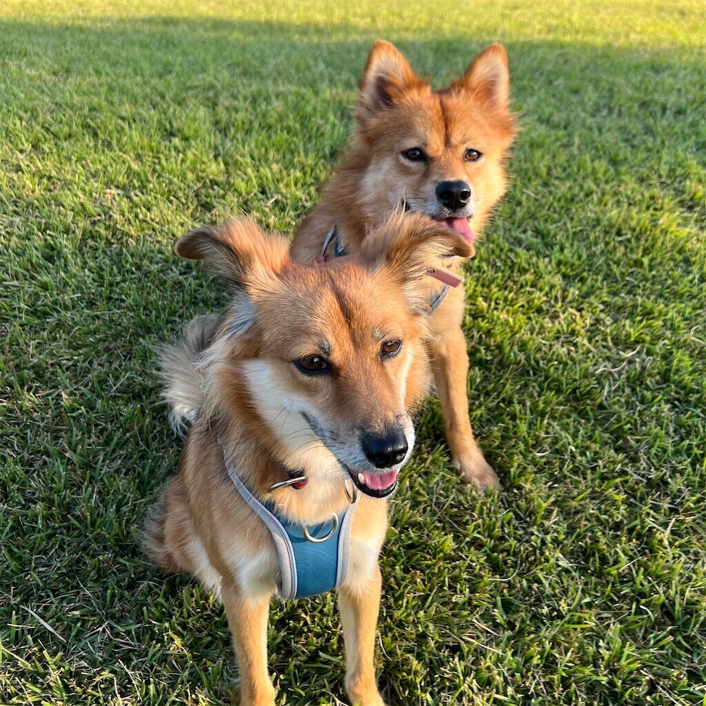 f:id:mamo76:20240109205439j:image