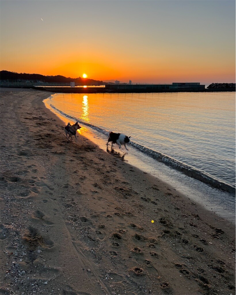 f:id:mamo76:20240109205456j:image