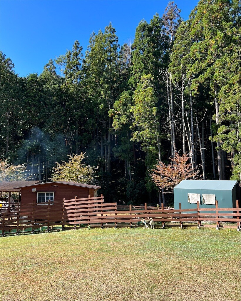 f:id:mamo76:20240109212644j:image