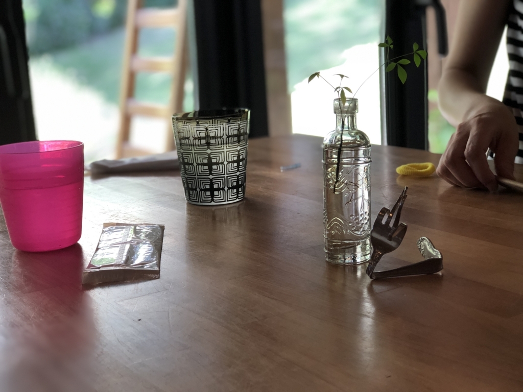 f:id:mamoahcy:20180727225241j:plain