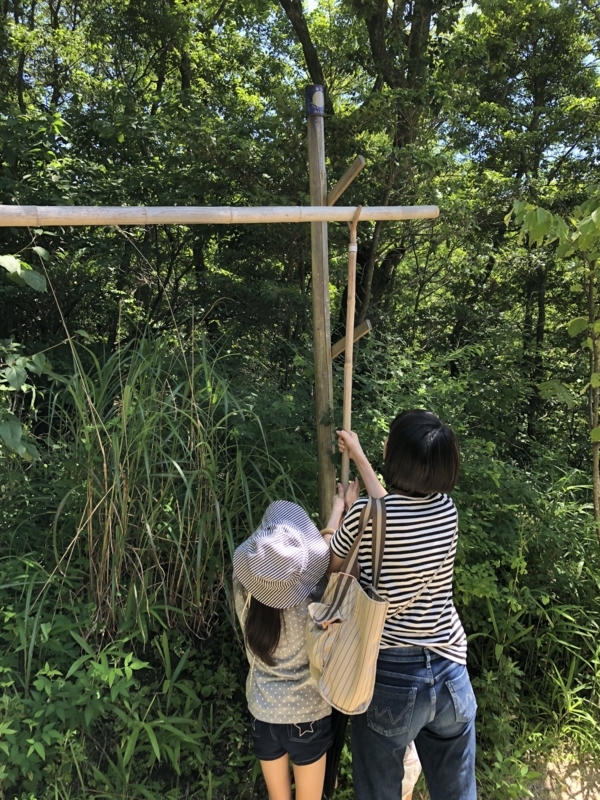 f:id:mamoahcy:20180804141730j:plain