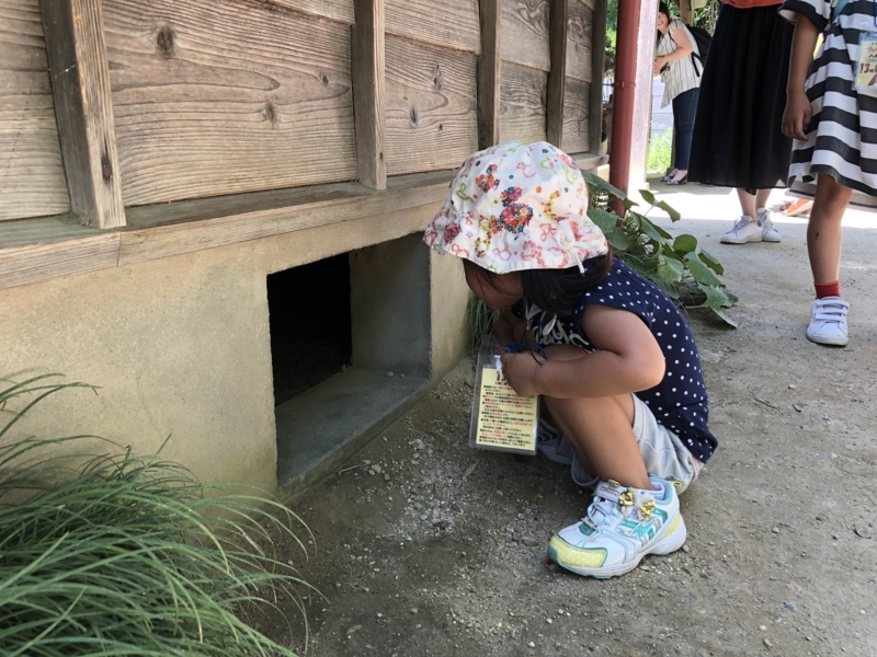 f:id:mamoahcy:20180804141746j:plain