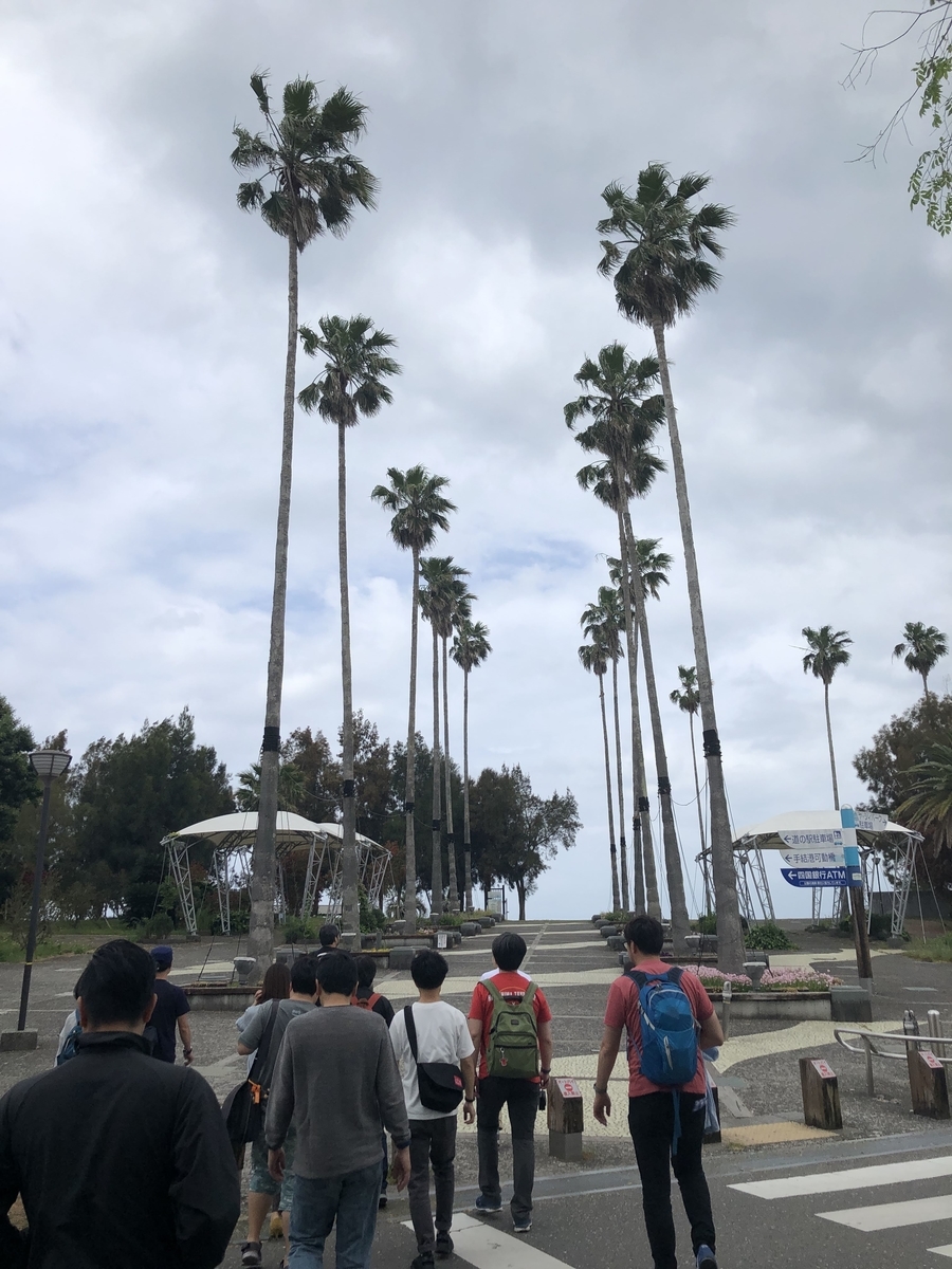 f:id:mamoahcy:20190603221153j:plain