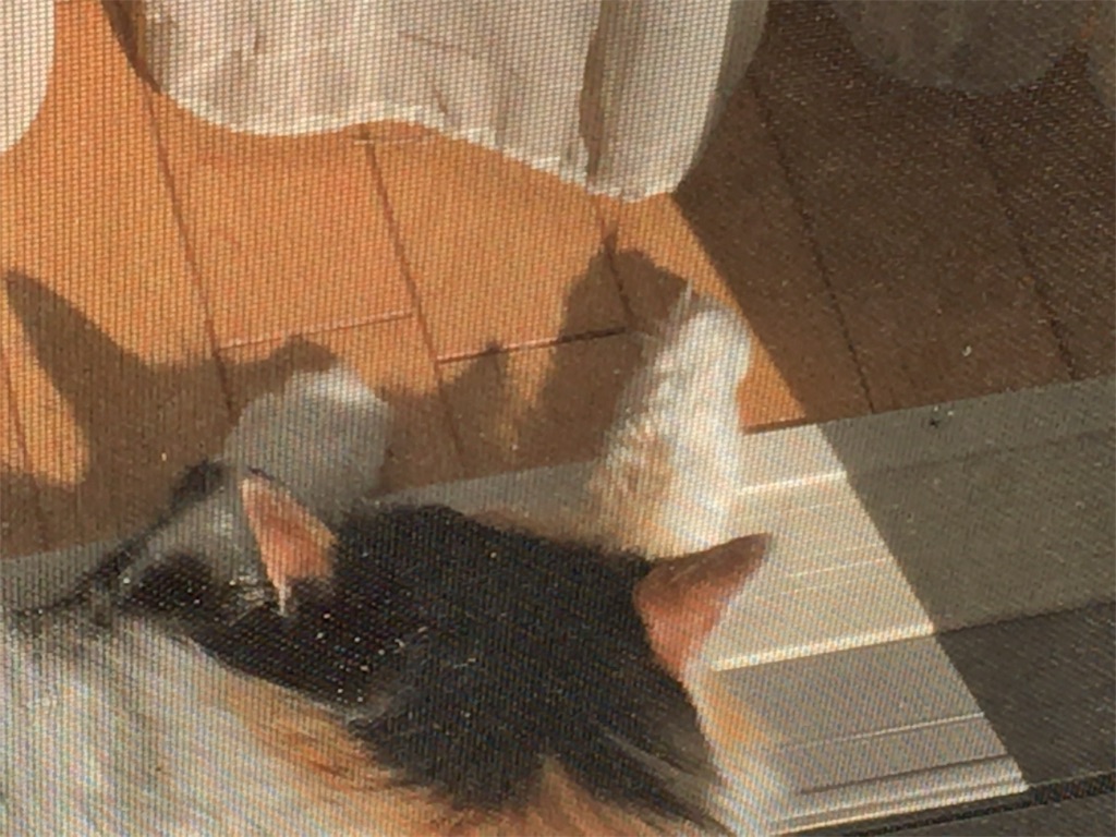 f:id:mamogame:20181018152840j:image