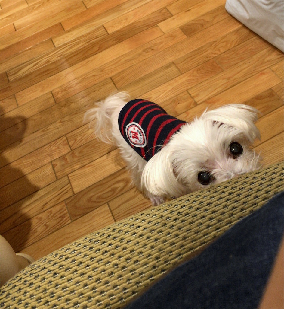 f:id:mamogame:20191221181725j:image