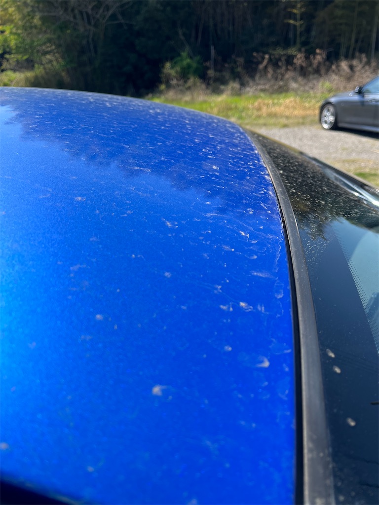 f:id:mamogame:20230409165257j:image