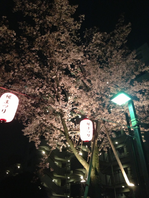 f:id:mamoruk:20130329231047j:image:w240