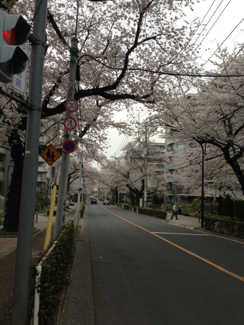 f:id:mamoruk:20130330224913j:image:w240 f:id:mamoruk:20130330224913j:image:w240