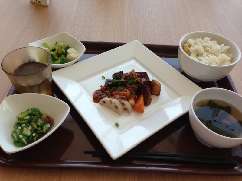 f:id:mamoruk:20130828120738j:image:w240
