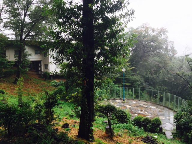 f:id:mamoruk:20150903091622j:image:w240