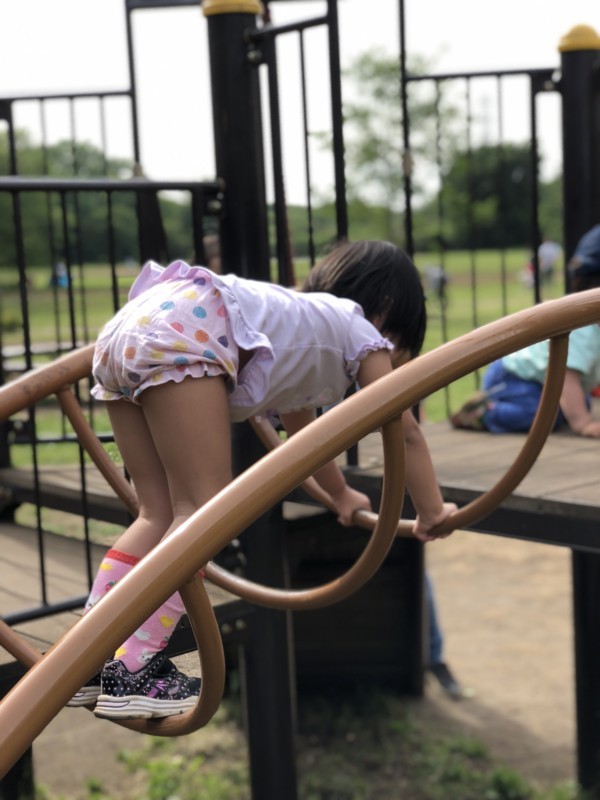 f:id:mamoruk:20180506150434j:image:w220