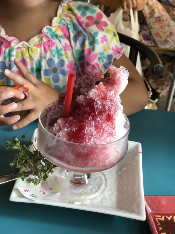 f:id:mamoruk:20180722152411j:image:w220