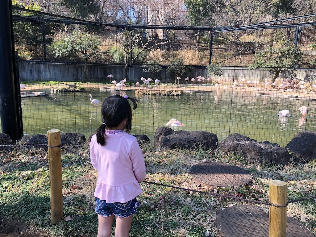 f:id:mamoruk:20190304181624j:image:w280