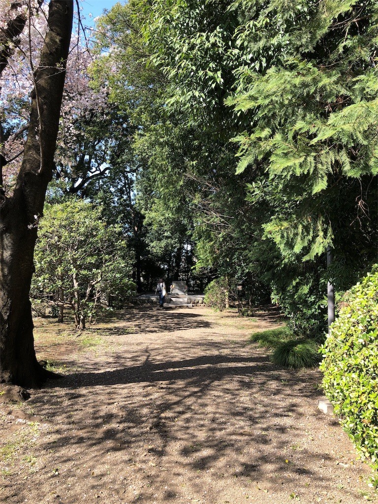 f:id:mamoruk:20190523182426j:image:w220