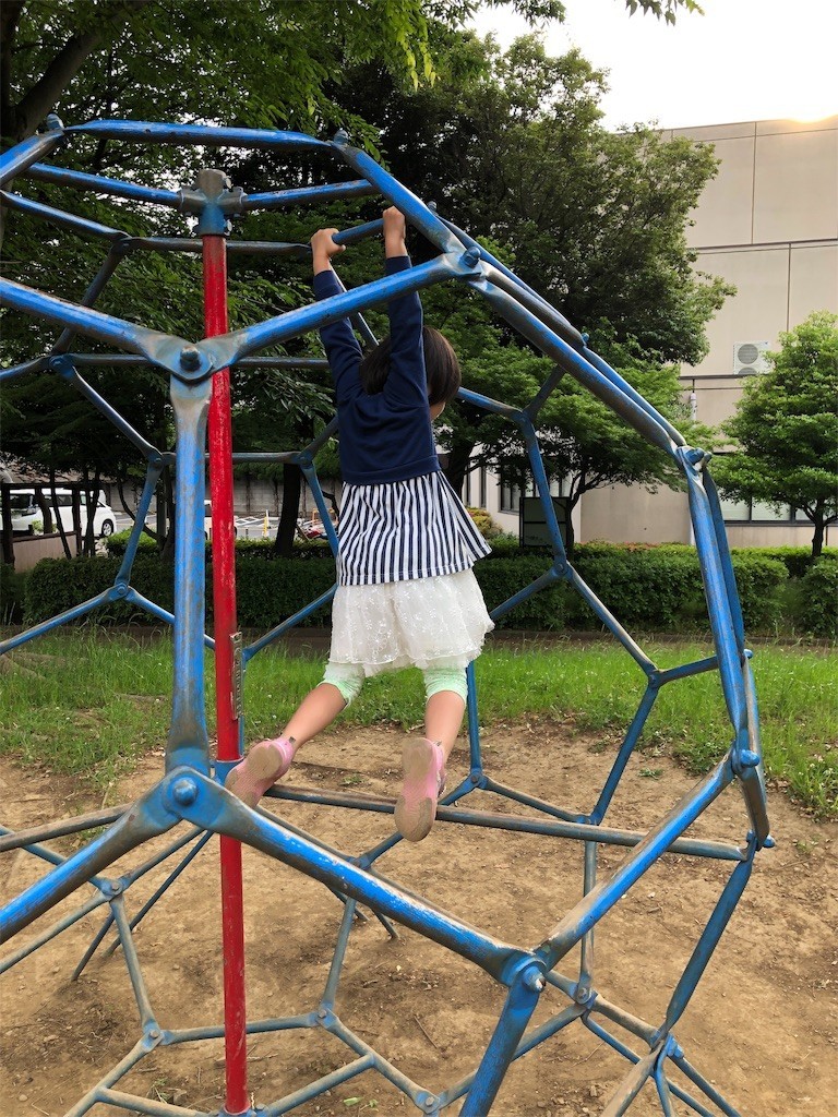 f:id:mamoruk:20190619180638j:image:w220