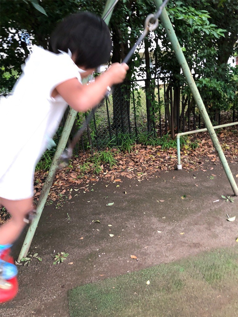 f:id:mamoruk:20190705184124j:image:w220