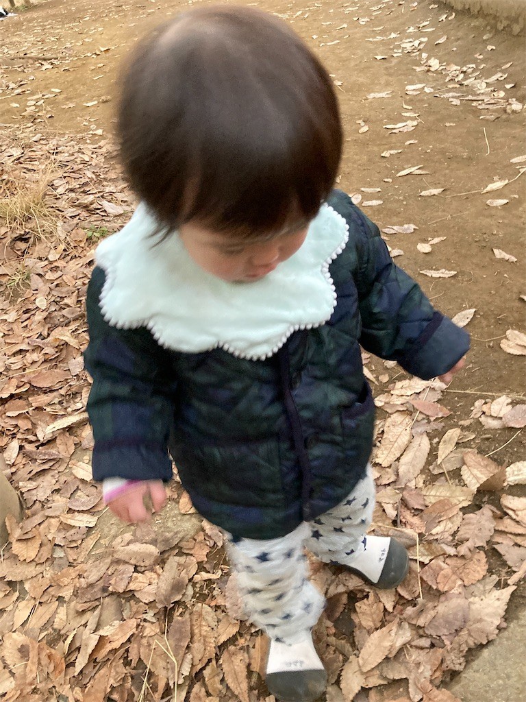 f:id:mamoruk:20201228183512j:plain:w220
