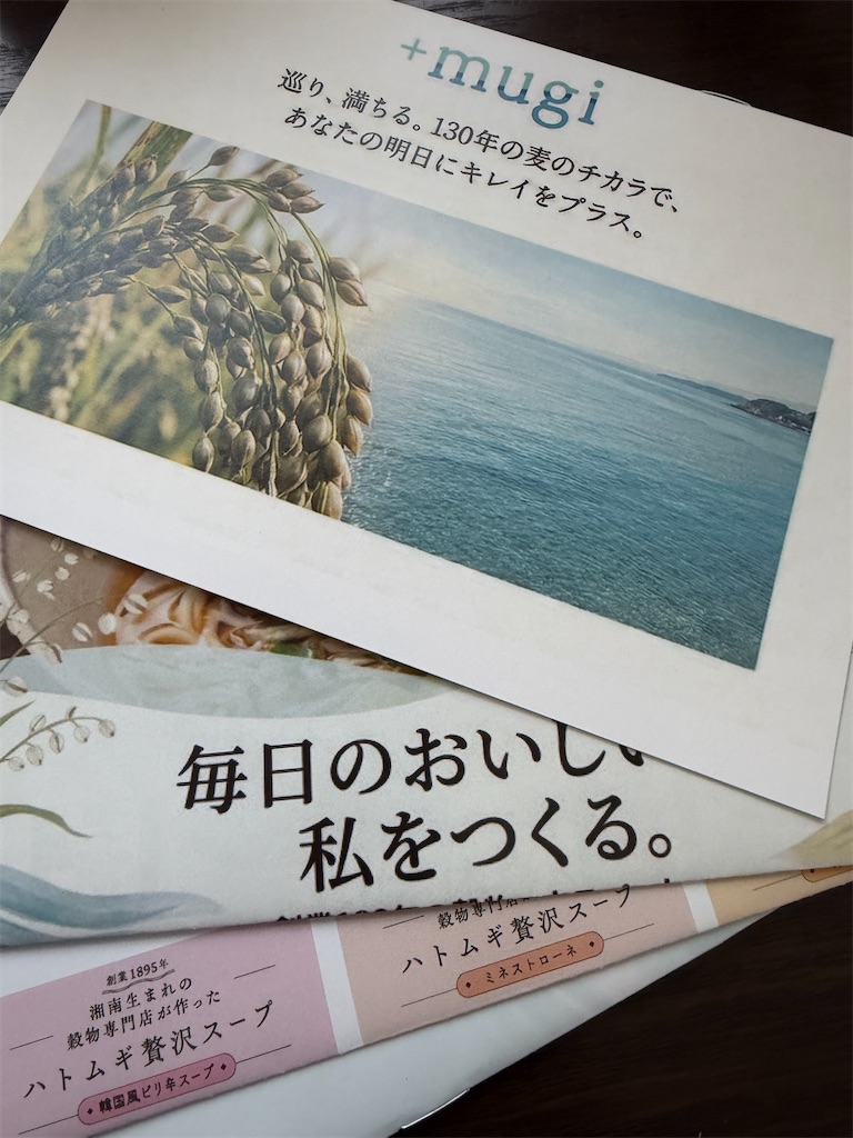 f:id:man_chan:20260512224523j:image f:id:man_chan:20260512224523j:image