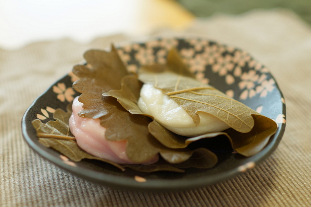 f:id:mana-cat:20160410162857j:plain