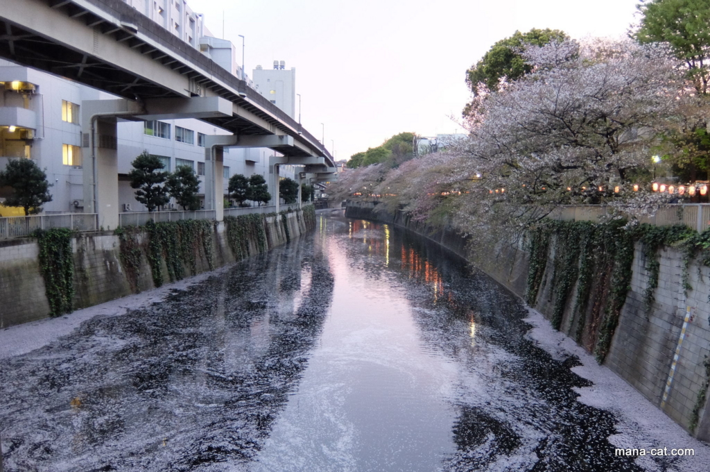 f:id:mana-cat:20160507112136j:plain