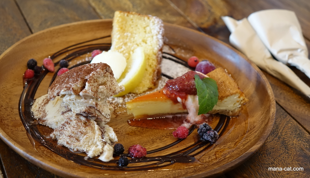 f:id:mana-cat:20160522170251j:plain