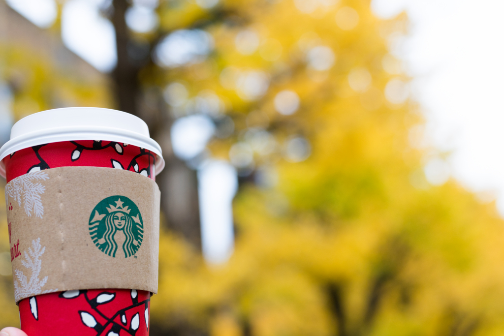 f:id:mana-cat:20161124000248j:plain