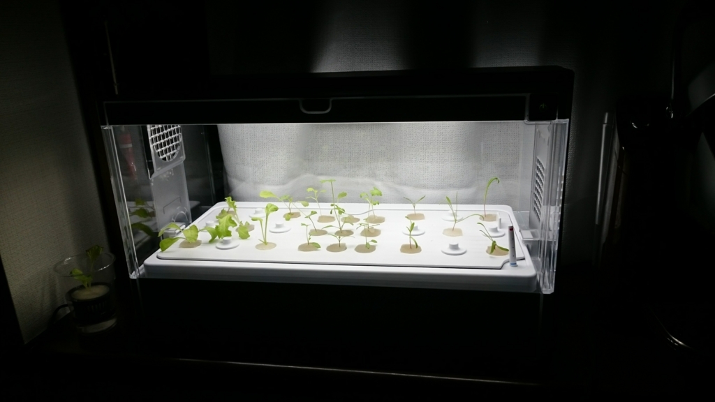 f:id:mana-cat:20161128234705j:plain