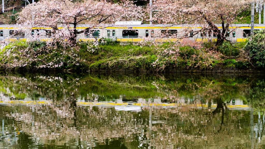 f:id:mana-cat:20170331170636j:plain