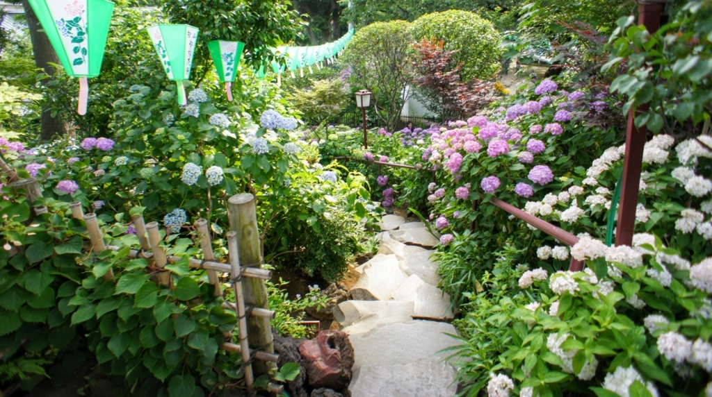 f:id:mana-cat:20170603235659j:plain