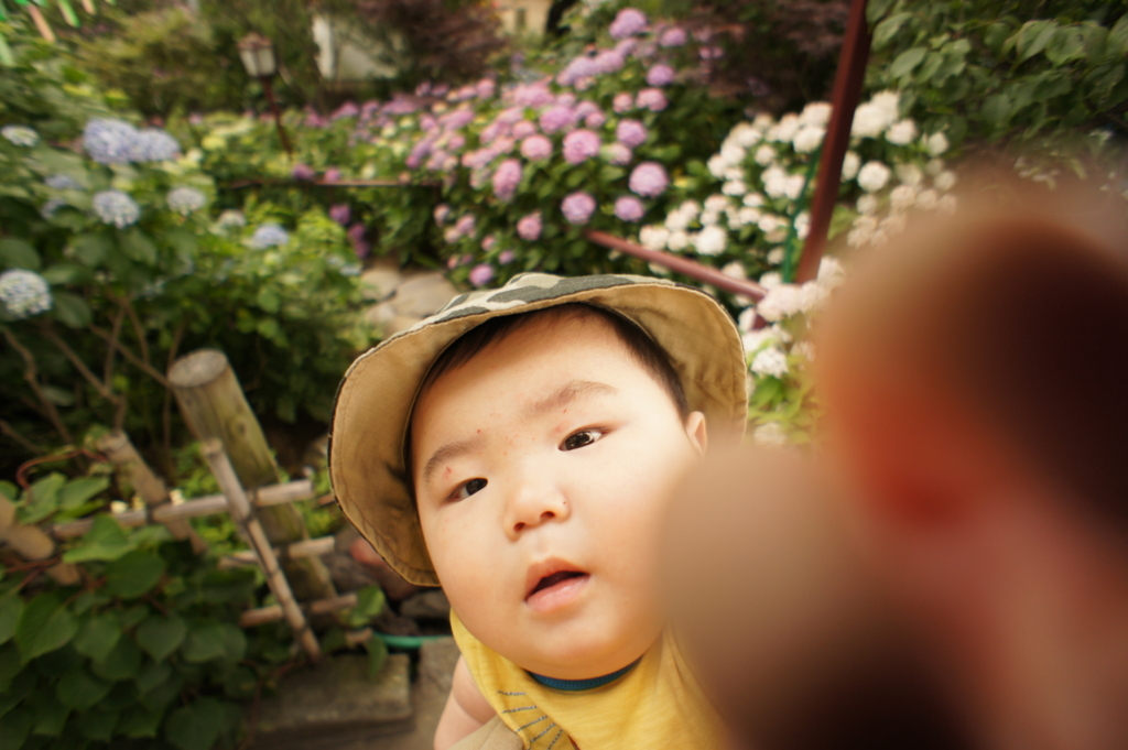 f:id:mana-cat:20170604004052j:plain