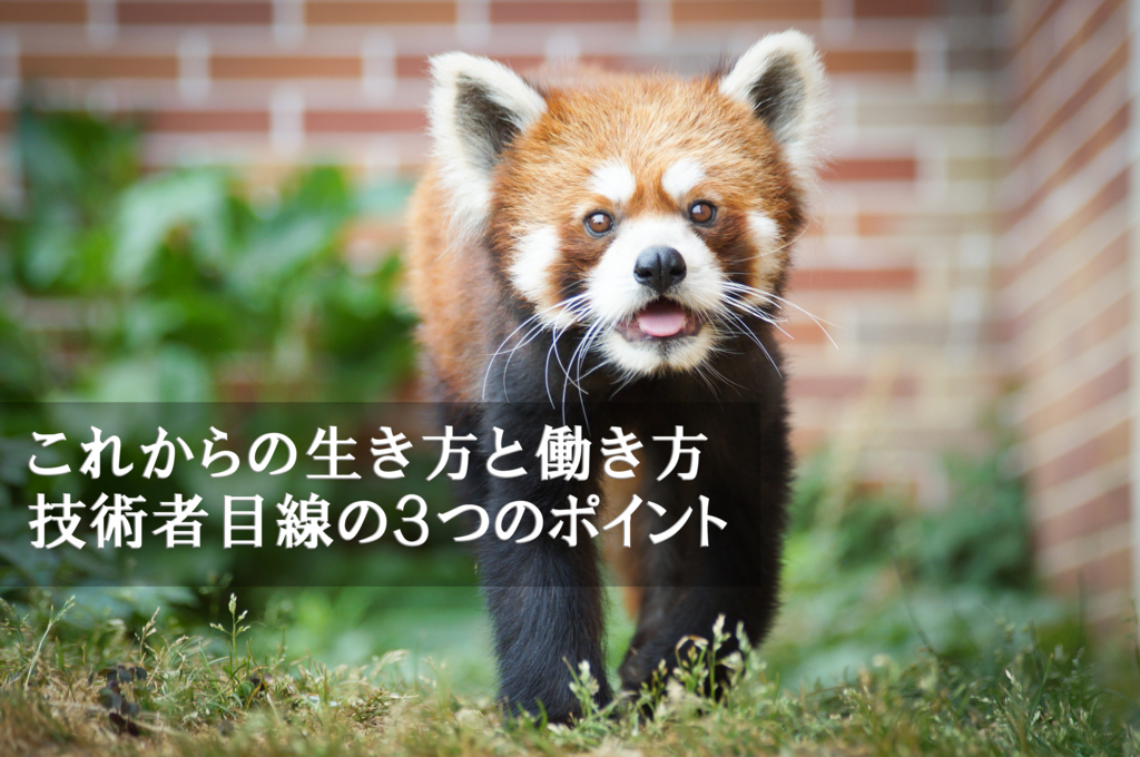 f:id:mana-cat:20171022212935j:plain f:id:mana-cat:20171022212935j:plain