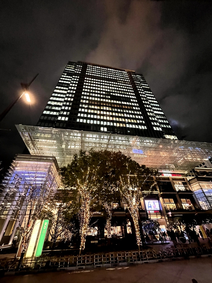 f:id:mana-cat:20201201231516j:plain:w400