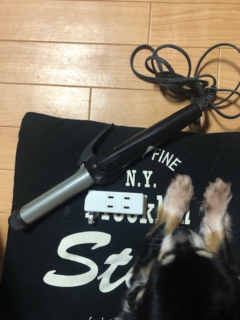 f:id:mana-mana717:20210421110657j:plain