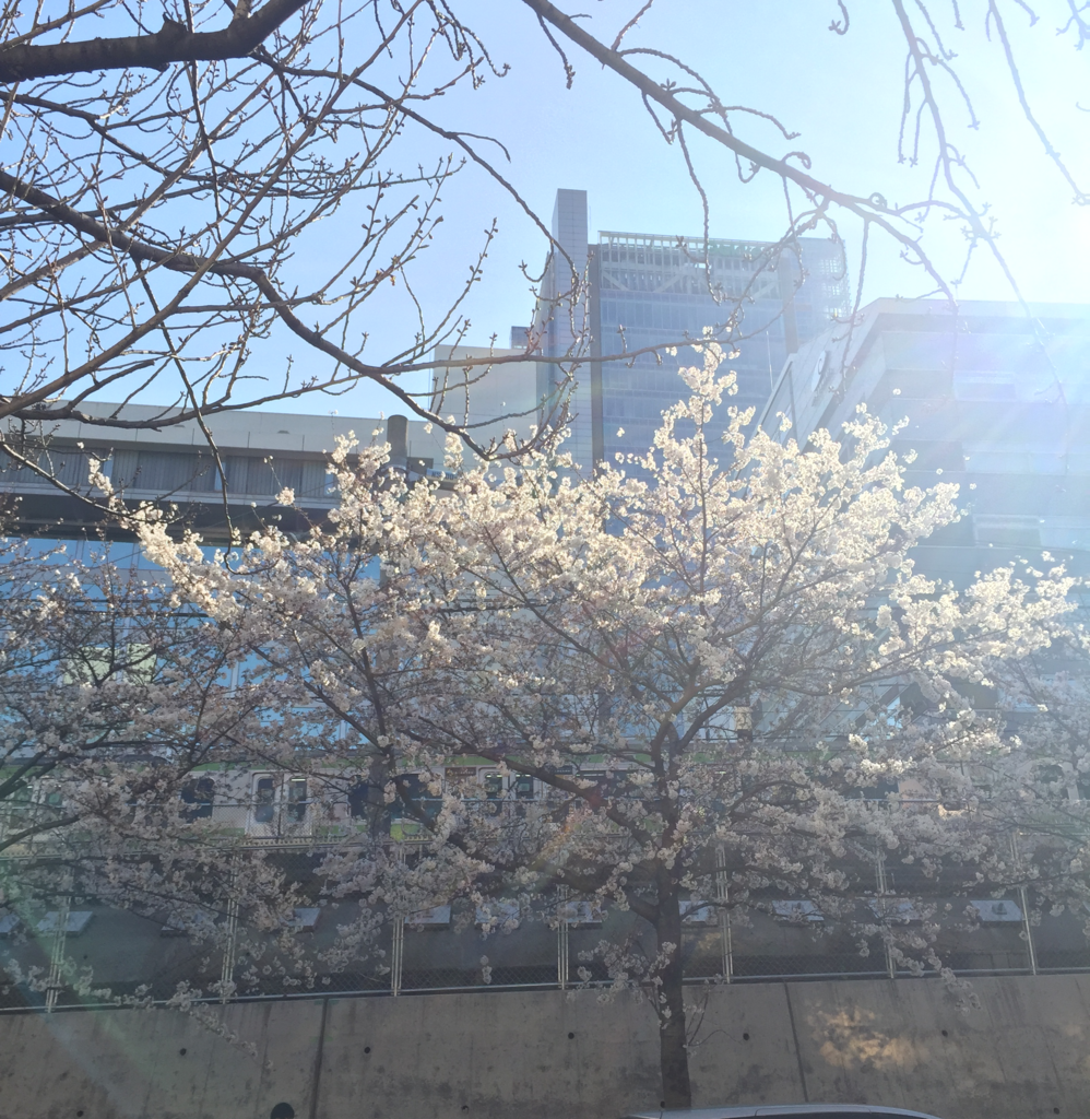 f:id:mana-power:20180408124334p:plain f:id:mana-power:20180408124334p:plain