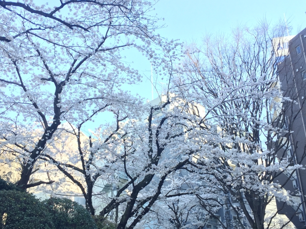 f:id:mana-power:20180408125134j:plain f:id:mana-power:20180408125134j:plain
