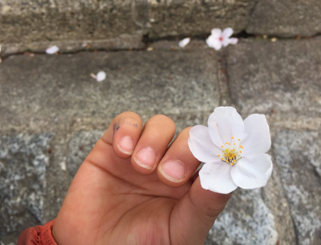 f:id:mana-power:20180408125400p:plain f:id:mana-power:20180408125400p:plain