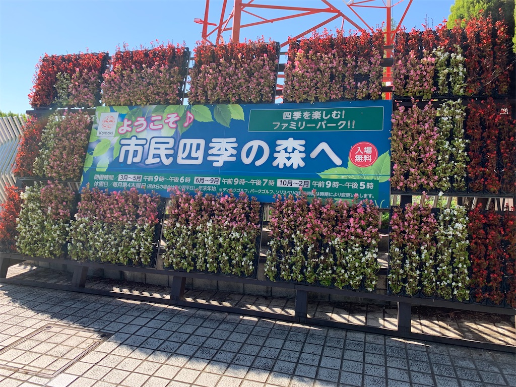 f:id:mana1600:20231021143633j:image f:id:mana1600:20231021143633j:image