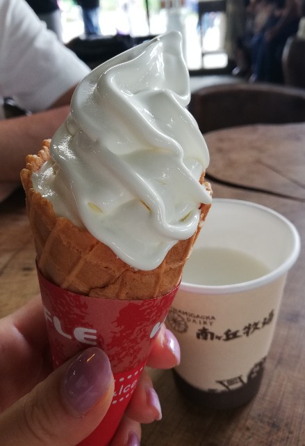 f:id:mana2018:20190731195721j:image