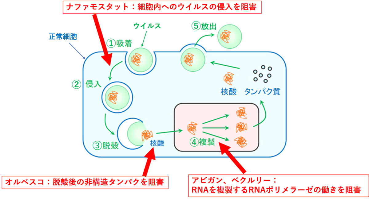f:id:mana2525:20200618192636p:plain f:id:mana2525:20200618192636p:plain