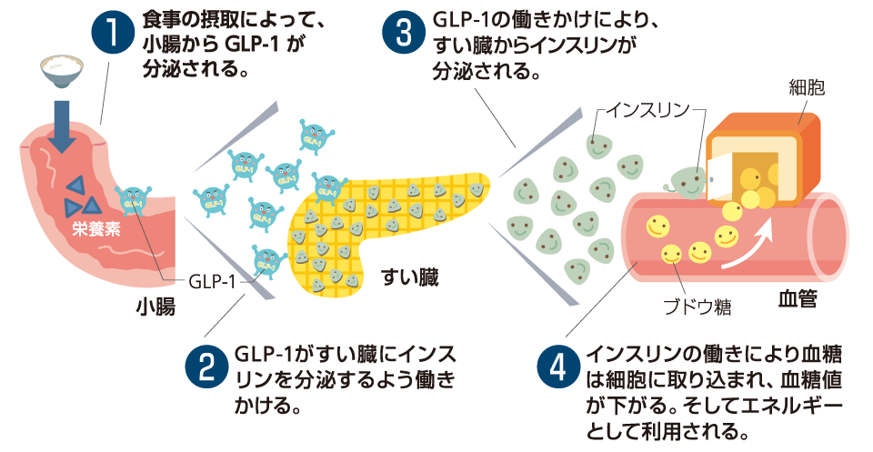 f:id:mana2525:20200620210817p:plain f:id:mana2525:20200620210817p:plain