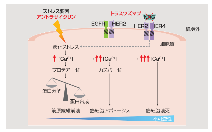 f:id:mana2525:20200701205124p:plain f:id:mana2525:20200701205124p:plain