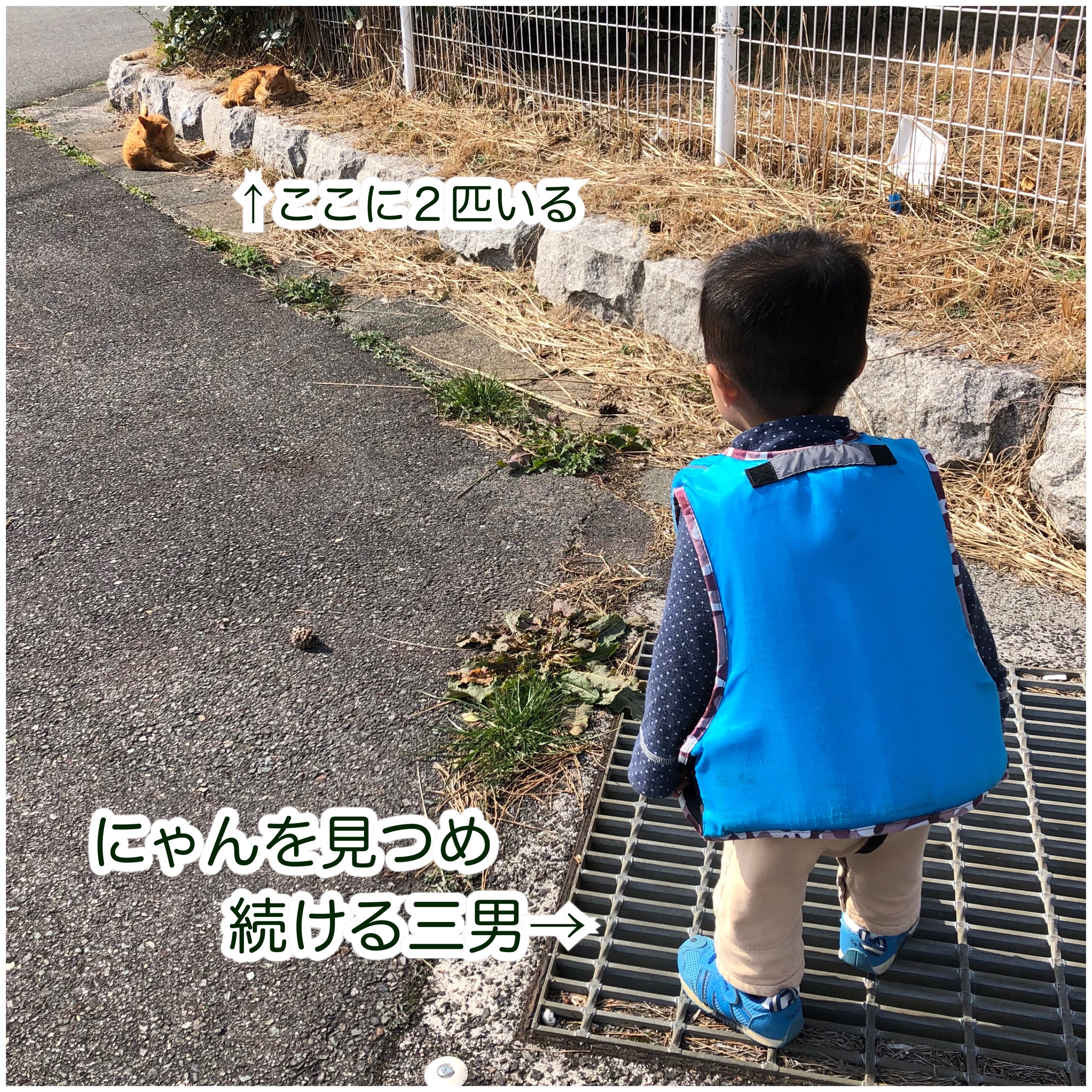 f:id:mana3bm:20210625231013j:image