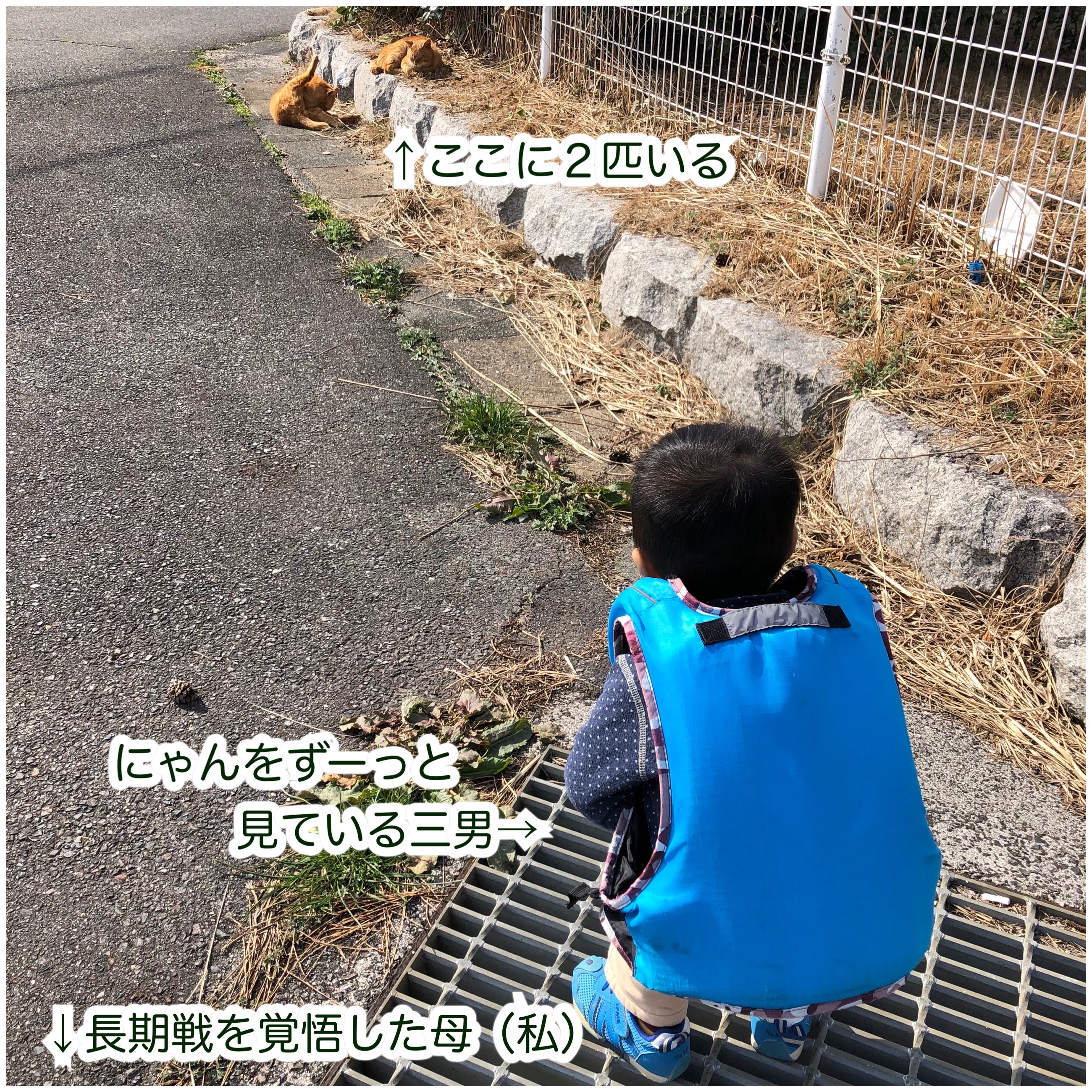 f:id:mana3bm:20210625231019j:image