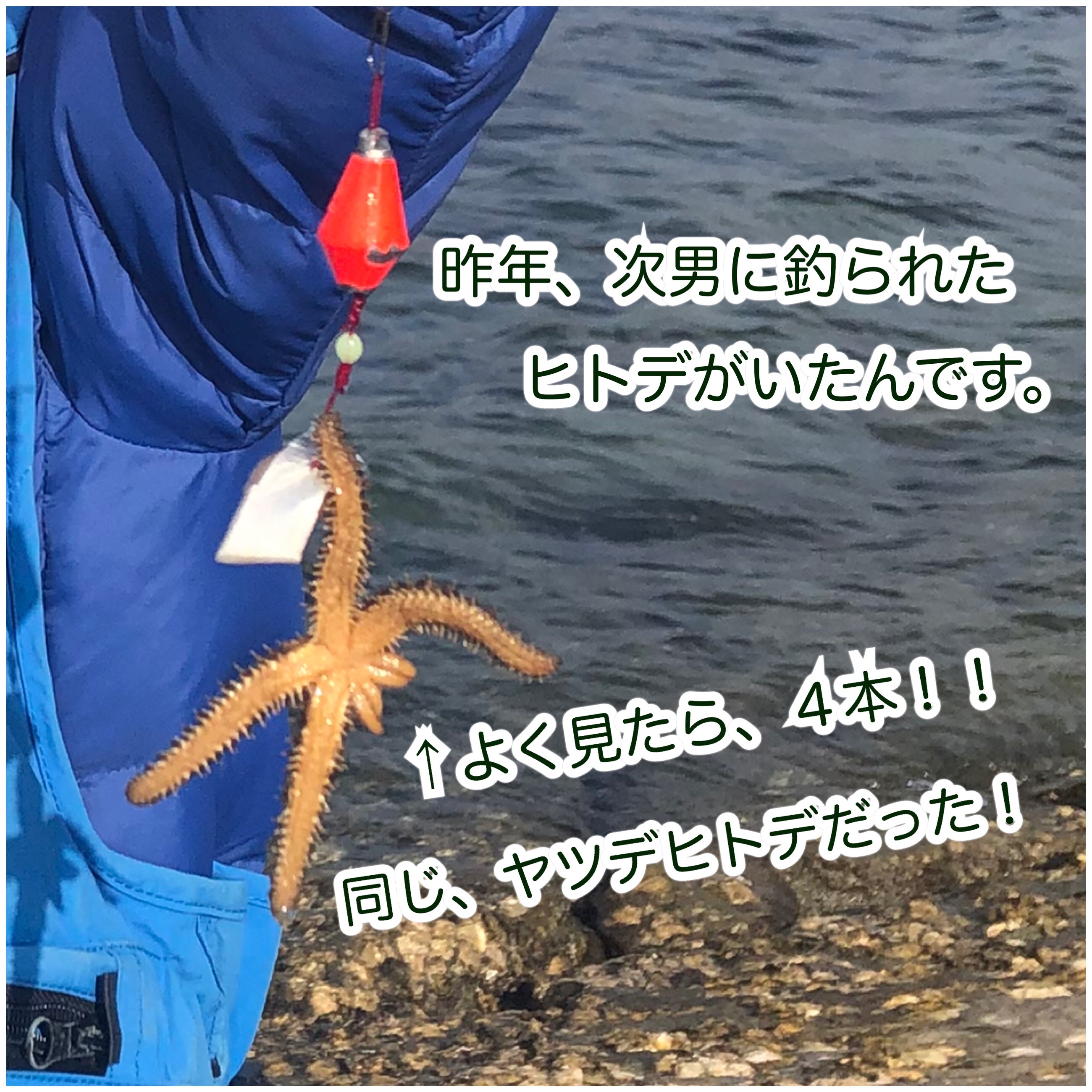 f:id:mana3bm:20210909204135j:image